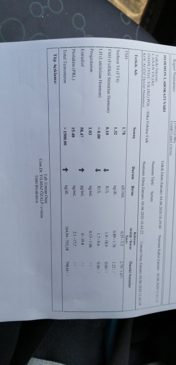 IMG-20200604-WA0020.jpeg