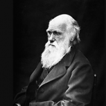 darwin