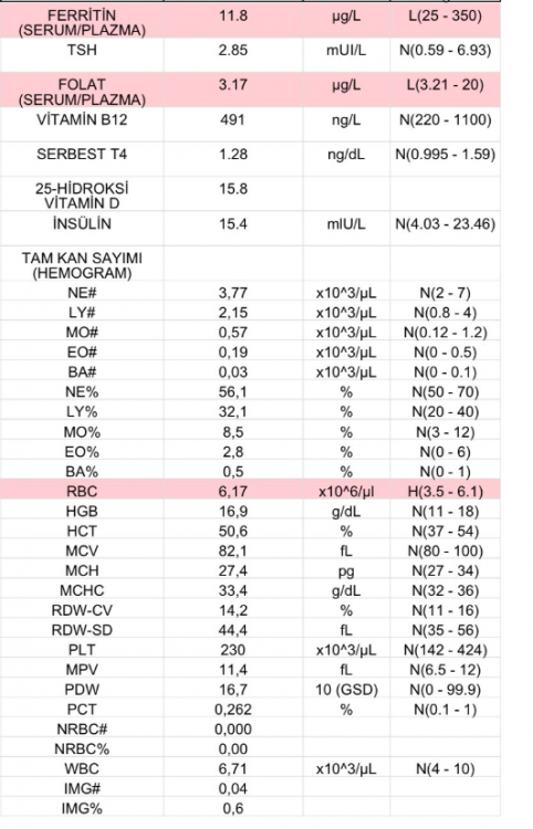 resim_2025-01-06_005027461.thumb.png.f873a62ea17ddca677897e152e351fe1.png