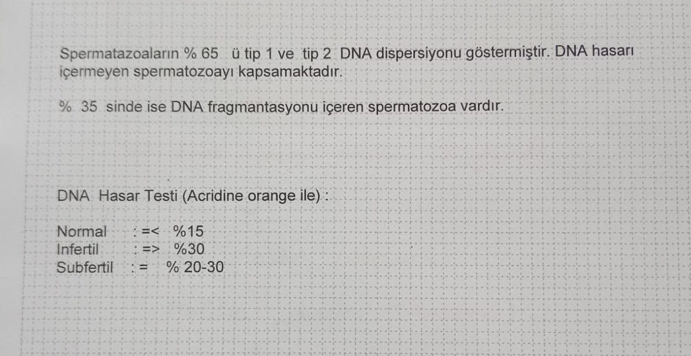 4e0288f0-075d-4a28-8748-db82bde00fc9.jpeg