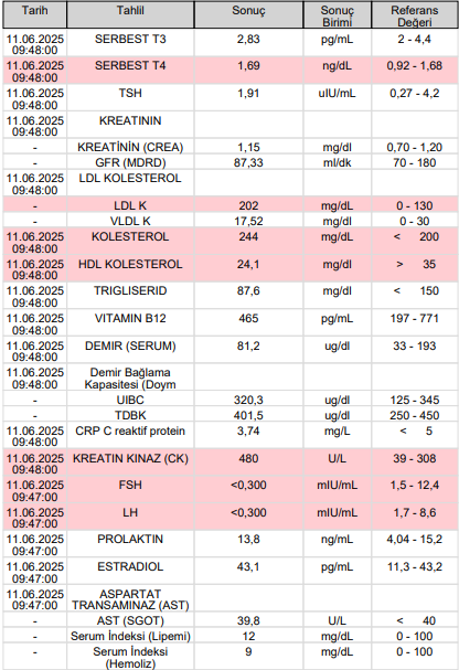6849c1fb04246_Ekrangrnts2025-06-11204956.png.a47b0f3f44e5e75b476dc2adb150910f.png
