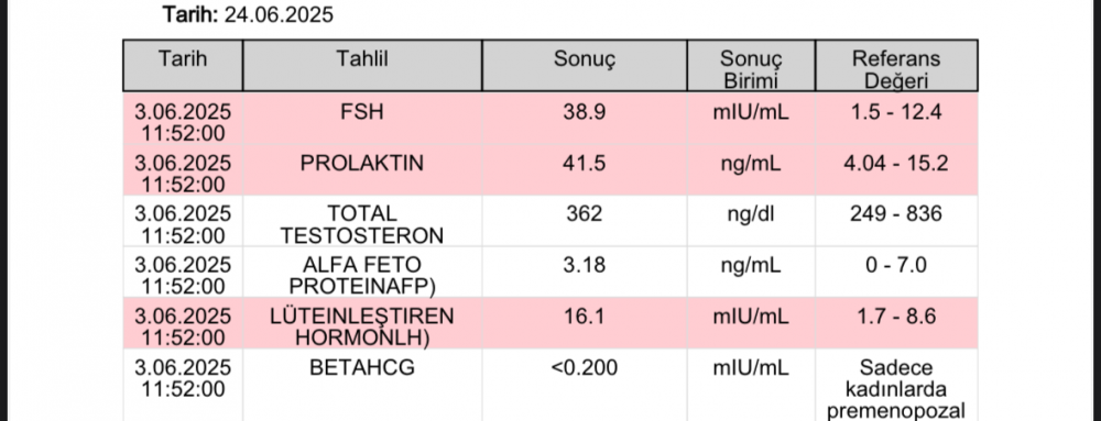 Ekran Resmi 2025-06-24 - 20.32.41.jpeg.png