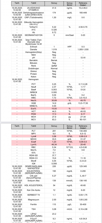 IMG_3442.thumb.png.c1c328fea6670683d6804b242f97c06a.png