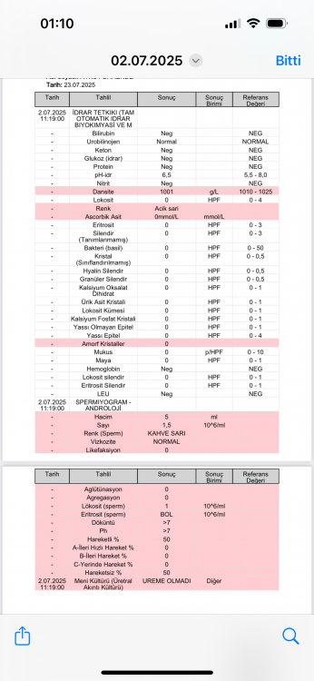 IMG_4463.png