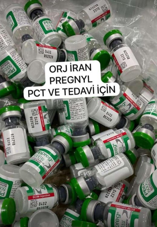 WhatsApp Image 2025-10-22 at 13.48.31.jpeg