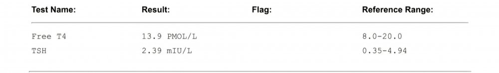 Screenshot_20260205_085252_Samsung Notes.jpg