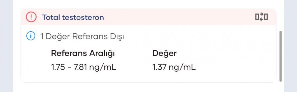 WhatsApp Image 2026-03-19 at 14.07.55.jpeg