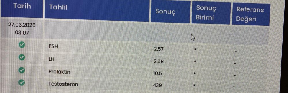 WhatsApp Image 2026-03-31 at 13.24.51.jpeg