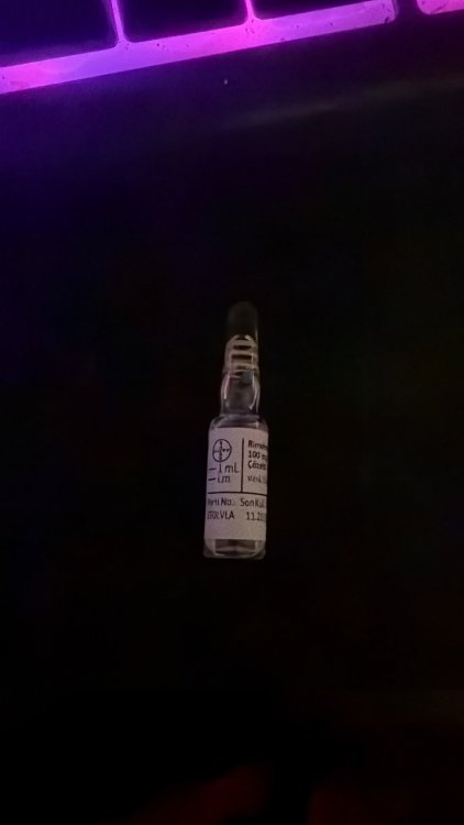 IMG_5276.jpeg